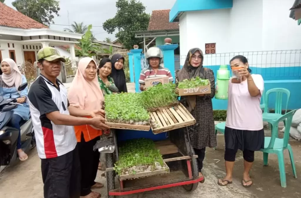 Pemanfaatan Lahan Kosong Oleh Kelompok Wanita Tani RW 03