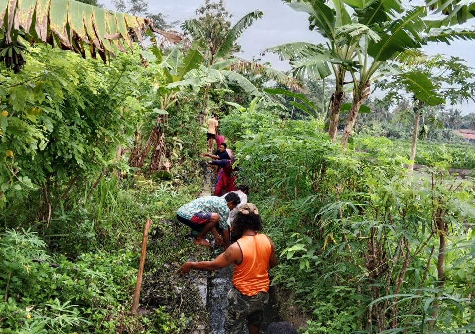 Dusun Gandrungmanis Tengah Laksanakan Kerja Bakti Masal Bersama Koramil 10 Gandrungmangu untuk Cegah Banjir dan Tingkatkan Kebersamaan Warga